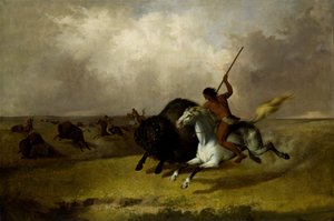 Buffalo Hunt on the Southwestern Prairies by John Mix Stanley